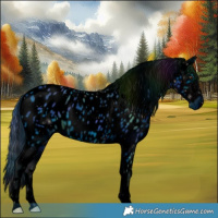 Horse Color:ERROR: UNKNOWN ANOMALY