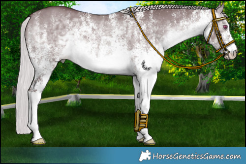 Horse Color:White Spotted Chocolate Silver Brown Chinchilla Dun 