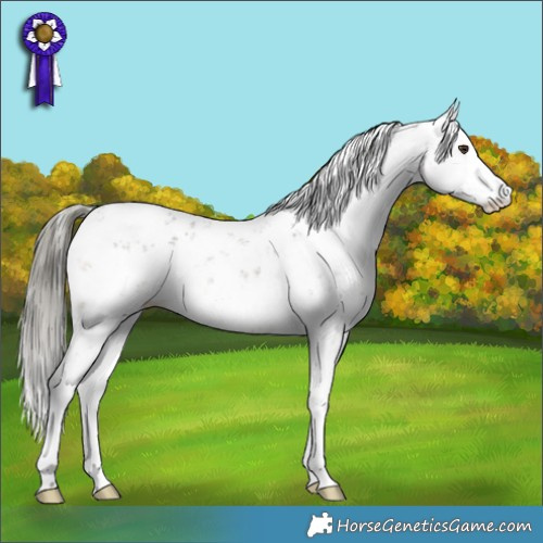 Horse Color:Liver Chestnut Mushroom Sabino 