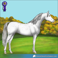 Horse Color:Liver Chestnut Mushroom Sabino 