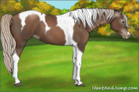 Horse Color:Gray Silver Black Pearl Tobiano