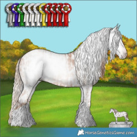 Horse Color:Gray Gold Champagne Tobiano Leopard  and Gray Gold Champagne Tobiano Leopard 