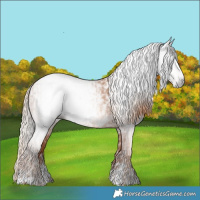 Horse Color:Gray Gold Champagne Appaloosa  and Gray Gold Champagne Appaloosa 
