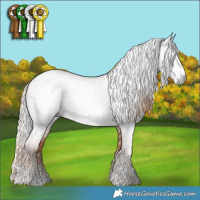 Horse Color:Gray Gold Champagne Appaloosa  and Gray Gold Champagne Frame Appaloosa 