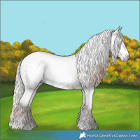 Horse Color:Gray Gold Champagne Near Leopard  and Gray Gold Champagne Near Leopard 