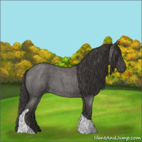 Horse Color:Smoky Blue Roan Tobiano 
