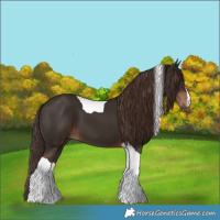 Horse Color:Liver Chestnut Tobiano 