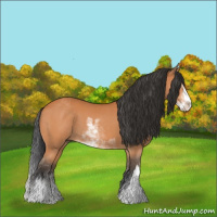 Horse Color:Bay Sabino 