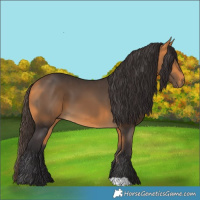 Horse Color:Buckskin 