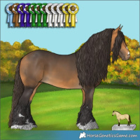 Horse Color:Buckskin 