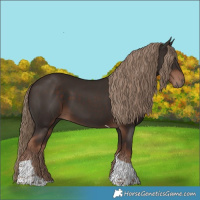 Horse Color:Liver Chestnut Tobiano 