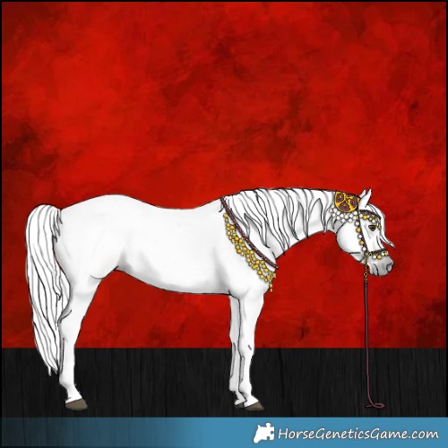 Horse Color:Gray Palomino 