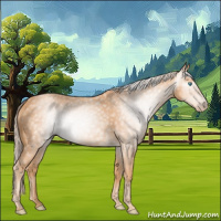 Horse Color:Gray Cremello 