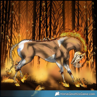 Horse Color:Chestnut Splash Tobiano 