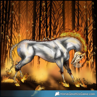 Horse Color:Gray Bay Tobiano Rabicano 