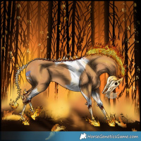 Horse Color:Chestnut Splash Tobiano 