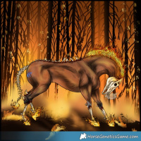 Horse Color:Bay Tobiano Rabicano 