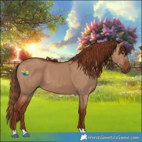 Horse Color:Red Dun 