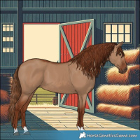 Horse Color:Red Dun 