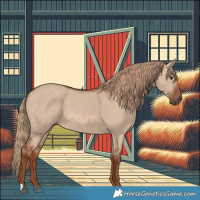 Horse Color:Red Dun 