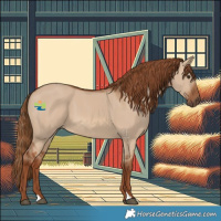 Horse Color:Red Dun 
