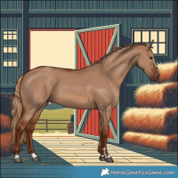 Horse Color:Red Dun 