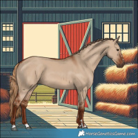 Horse Color:Red Dun 