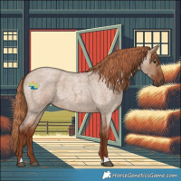 Horse Color:Red Dun Roan 
