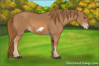 Horse Color:Chestnut Frame 