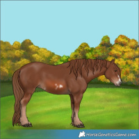 Horse Color:Chestnut Frame 
