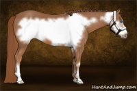Horse Color:Chestnut Frame