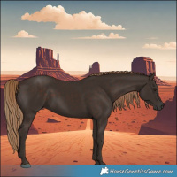 Horse Color:Liver Chestnut Rabicano 