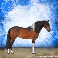 Horse Color:Brown Tobiano Rabicano