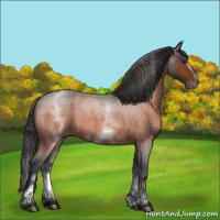 Horse Color:White Spotted Bay Roan Frame 