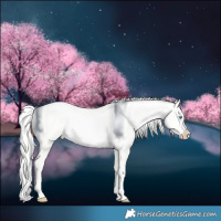 Horse Color:Cremello Dun Splash 