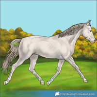 Horse Color:Smoky Creme Dun 