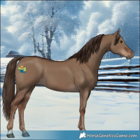 Horse Color:Liver Red Dun 