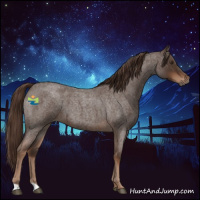 Horse Color:Liver Red Roan 