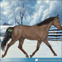 Horse Color:Liver Red Dun 