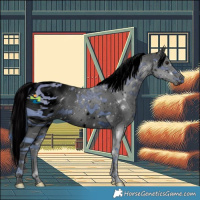 Horse Color:ERROR: UNKNOWN ANOMALY