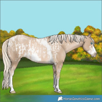 Horse Color:Chocolate Palomino Pearl Tobiano Frame  and Chocolate Palomino Pearl Tobiano Frame 