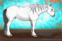 Horse Color:White Spotted Black Ice Frame