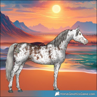 Horse Color:White Spotted Silver Brown 