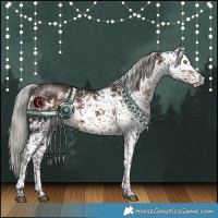 Horse Color:White Spotted Silver Brown 