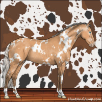 Horse Color:Gray White Spotted Silver Perlino Rabicano 