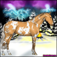 Horse Color:White Spotted Silver Buckskin
