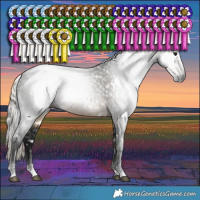 Horse Color:Gray White Spotted Silver Smoky Black 