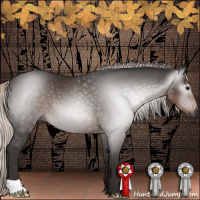 Horse Color:Gray Silver Black 