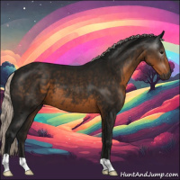 Horse Color:Gray Silver Smoky Black 