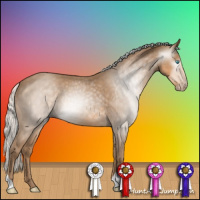 Horse Color:Gray Silver Smoky Creme 